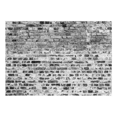 Papier peint intissé panoramique border of greynesses 100x70 cm