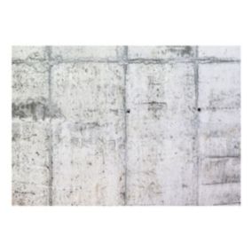 Papier peint intissé panoramique concrete wall 350x245 cm