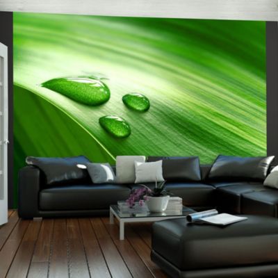 Papier peint intissé panoramique feuille et trois gouttes d'eau 250x193 cm