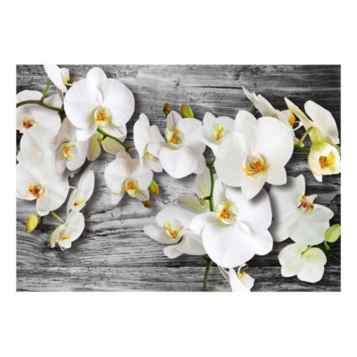 Papier peint intissé panoramique fleurs callous orchids iii 400x280 cm
