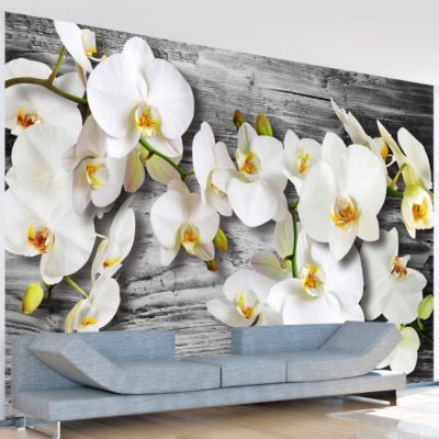 Papier peint intissé panoramique fleurs callous orchids iii 400x280 cm