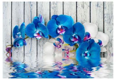 Papier peint intissé panoramique fleurs cobaltic orchid 150x105 cm