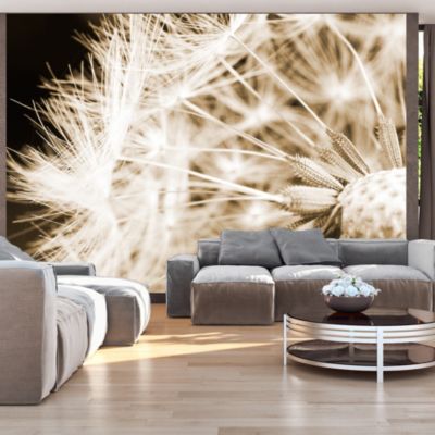 Papier peint intissé panoramique fleurs dandelion - sepia 400x280 cm