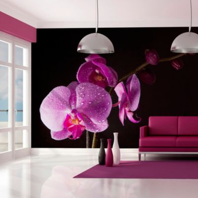 Papier peint intissé panoramique fleurs de bon goût orchidée 250x193 cm
