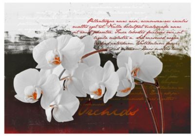 Papier peint intissé panoramique fleurs diary and orchid 150x105 cm