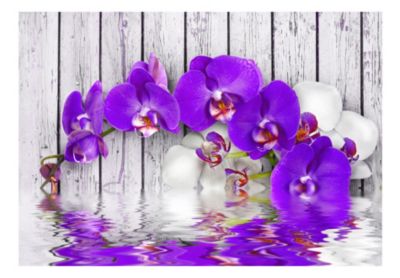 Papier peint intissé panoramique fleurs dormant instincts 350x245 cm