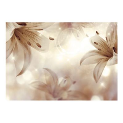 Papier peint intissé panoramique fleurs gentle symphony 250x175 cm