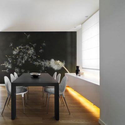 Papier peint intissé panoramique fleurs graines de dent-de-lion emportées par le vent 250x193 cm