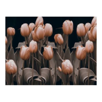 Papier peint intissé panoramique fleurs ladies among the flowers 350x270 cm