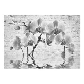 Papier peint intissé panoramique fleurs orchid in shades of gray 250x175 cm