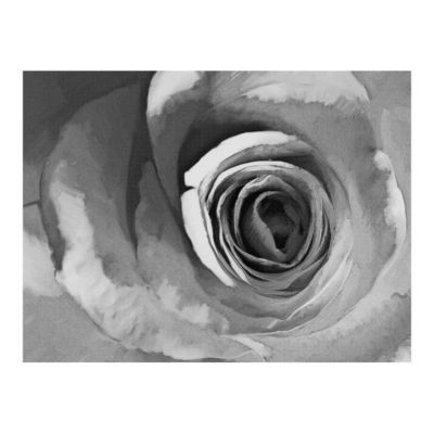 Papier peint intissé panoramique fleurs paper rose 300x231 cm