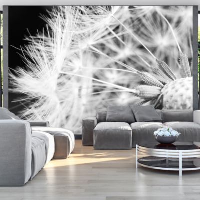 Papier peint intissé panoramique fleurs pissenlit en noir et blanc 150x105 cm