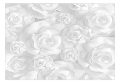 Papier peint intissé panoramique fleurs plaster flowers 300x210 cm