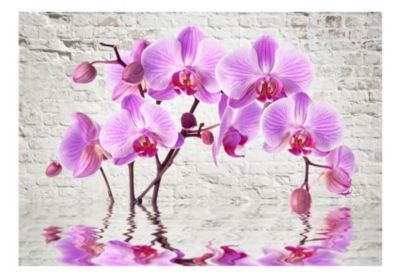 Papier peint intissé panoramique fleurs purple delight 100x70 cm