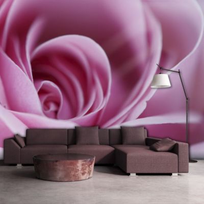 Papier peint intissé panoramique fleurs rose rose 250x193 cm