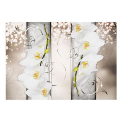Papier peint intissé panoramique fleurs sophisticated duet 100x70 cm