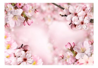 Papier peint intissé panoramique fleurs spring cherry blossom 150x105 cm