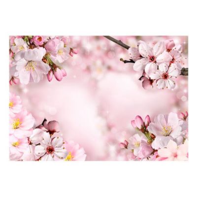 Papier peint intissé panoramique fleurs spring cherry blossom 300x210 cm