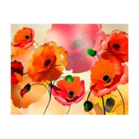 Papier peint intissé panoramique fleurs velvet poppies 1 350x270 cm