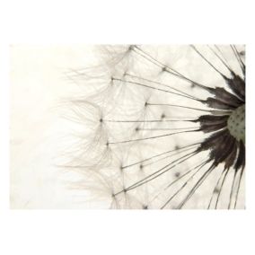 Papier peint intissé panoramique fleurs white dandelion 100x70 cm