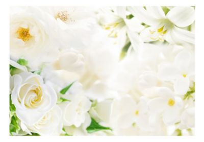Papier peint intissé panoramique fleurs white sigh 400x280 cm