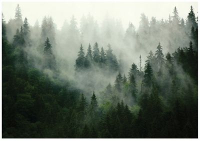 Papier Peint Intissé Panoramique Forêt Vert Nature Arbres 300x210 cm - Colle Inclus - Chambre et Salon - Moderne Papier Peint