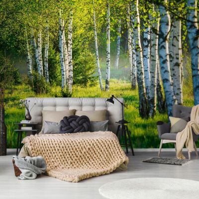 Papier Peint Intissé Panoramique Foret Vert 350x250 cm - Colle Inclus - Chambre et Salon - Moderne Papier Peint