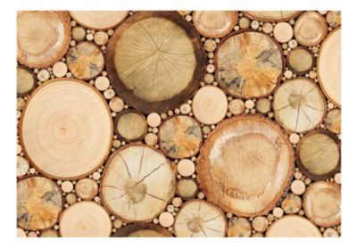 Papier peint intissé panoramique grains de bois 400x280 cm