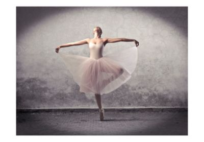 Papier peint intissé panoramique hobby ballet - poésie sans mots 400x309 cm