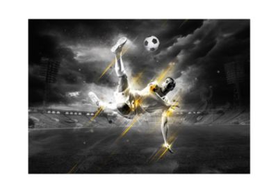 Papier peint intissé panoramique hobby football legend 250x175 cm