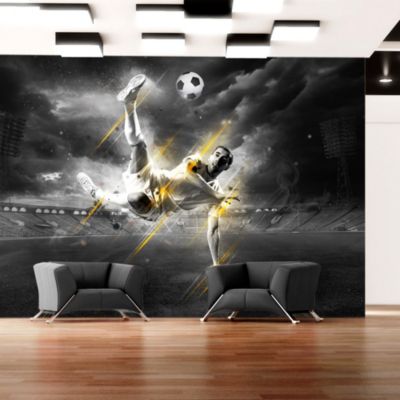 Papier peint intissé panoramique hobby football legend 250x175 cm
