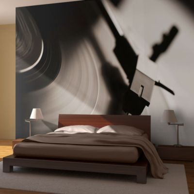 Papier peint intissé panoramique hobby gramophone et disque vinyle 400x309 cm
