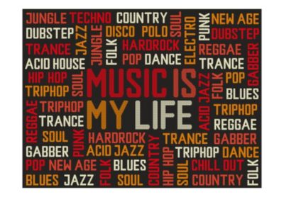 Papier peint intissé panoramique hobby music is my life 250x193 cm