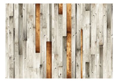 Papier peint intissé panoramique motif en bois 400x280 cm