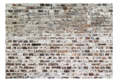 Papier peint intissé panoramique old walls 350x245 cm