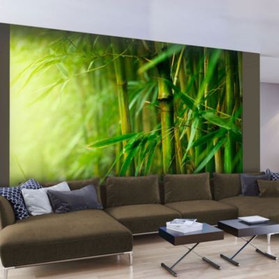 Papier peint intissé panoramique orient jungle - bambou 250x193 cm