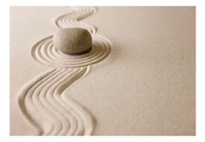 Papier peint intissé panoramique orient zen: balance 350x245 cm