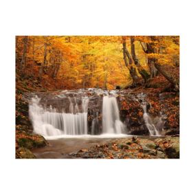 Papier peint intissé panoramique paysage autumn landscape : waterfall in forest 300x231 cm