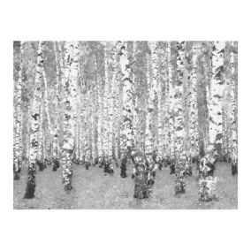 Papier peint intissé panoramique paysage birch seclusion 250x193 cm