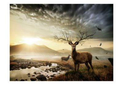 Papier peint intissé panoramique paysage cerf et ruisseau de montagne 250x193 cm