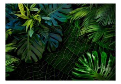 Papier peint intissé panoramique paysage dark jungle 400x280 cm