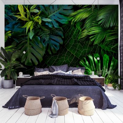 Papier peint intissé panoramique paysage dark jungle 400x280 cm