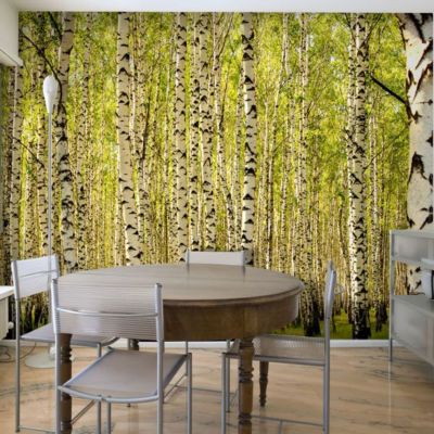Papier peint intissé panoramique paysage forêt de bouleaux 400x309 cm
