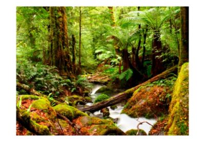Papier peint intissé panoramique paysage forêt tropicale 400x309 cm