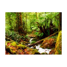 Papier peint intissé panoramique paysage forêt tropicale 400x309 cm