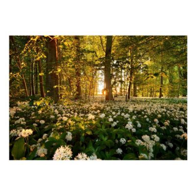 Papier peint intissé panoramique paysage forest flora 400x280 cm