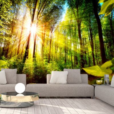 Papier peint intissé panoramique paysage forest hideout 400x280 cm