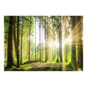 Papier peint intissé panoramique paysage forest tales 400x280 cm