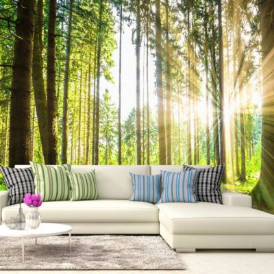 Papier peint intissé panoramique paysage forest tales 400x280 cm