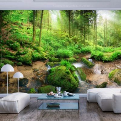 Papier peint intissé panoramique paysage humid forest 350x245 cm